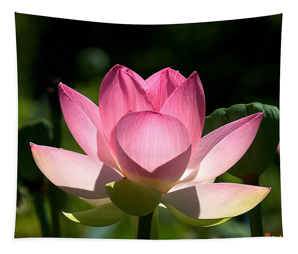 Nature Tapestry featuring the photograph Lotus Beauty--Radiant Beauty DL011 by Gerry Gantt