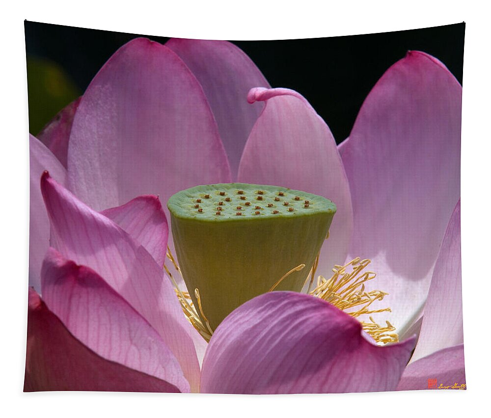 Nature Tapestry featuring the photograph Lotus--Center of Being iv DL071 by Gerry Gantt