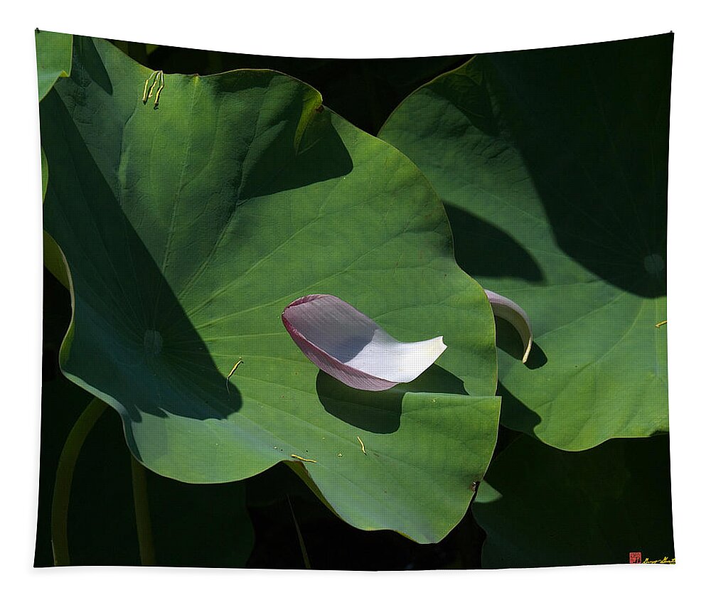 Nature Tapestry featuring the photograph Lotus Leaf--Castoff i DL073 by Gerry Gantt
