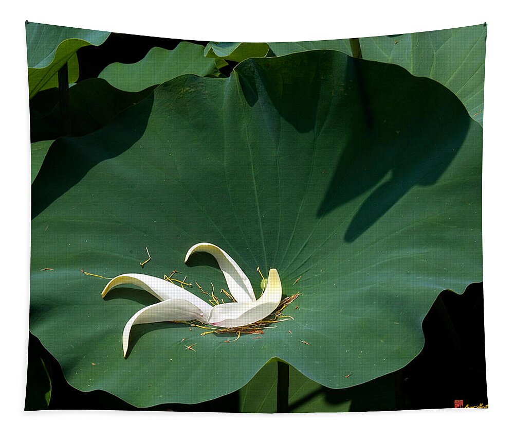 Nature Tapestry featuring the photograph Lotus Leaf--Castoff iii DL060 by Gerry Gantt