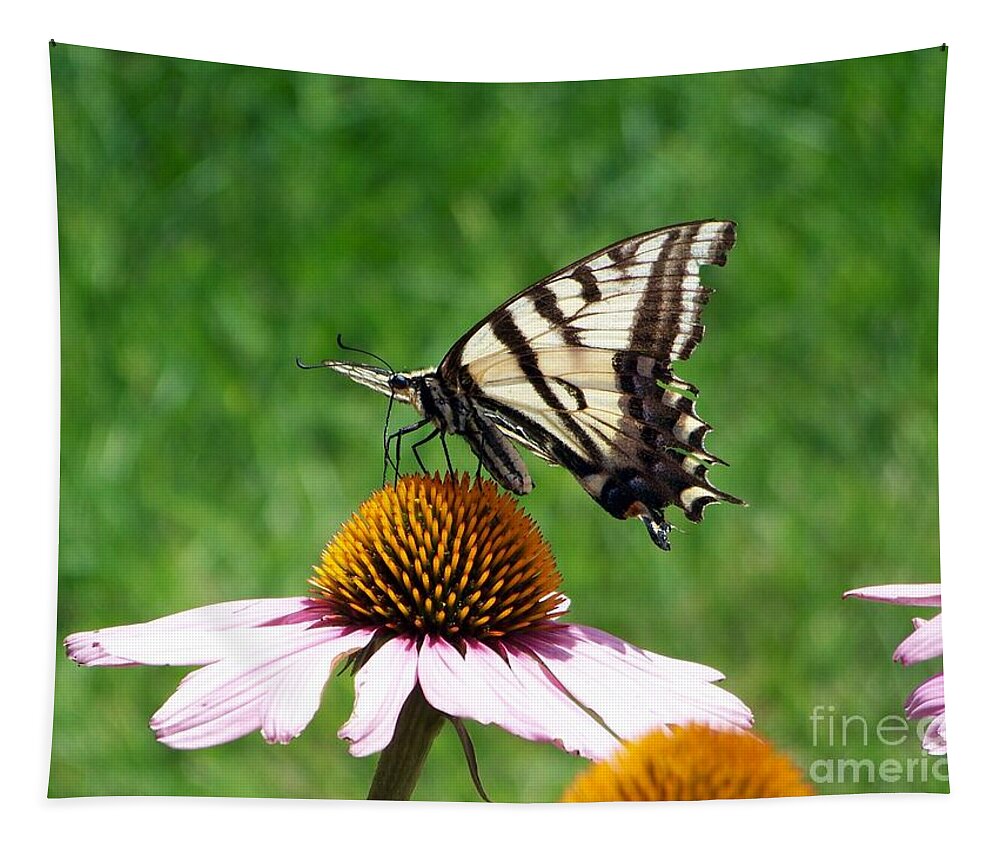 Butterflies Tapestry featuring the photograph Lunch Time by Dorrene BrownButterfield