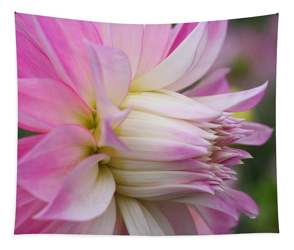 Macro Flower Print Tapestry featuring the photograph Macro Flower Profile by Marie Jamieson