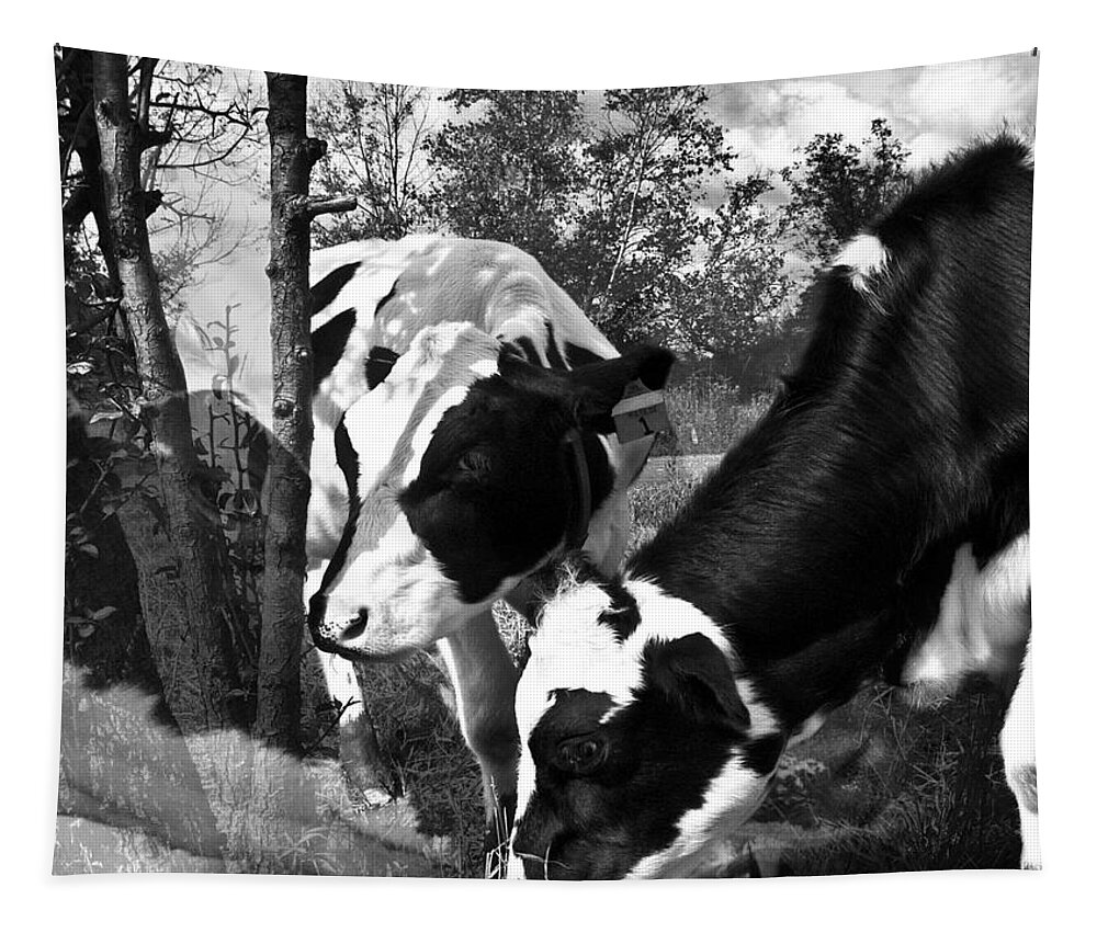 Agriculture Greeting Cards Tapestry featuring the photograph Matilda and Zoey in the Warm Afternoon Sun by Danielle Summa
