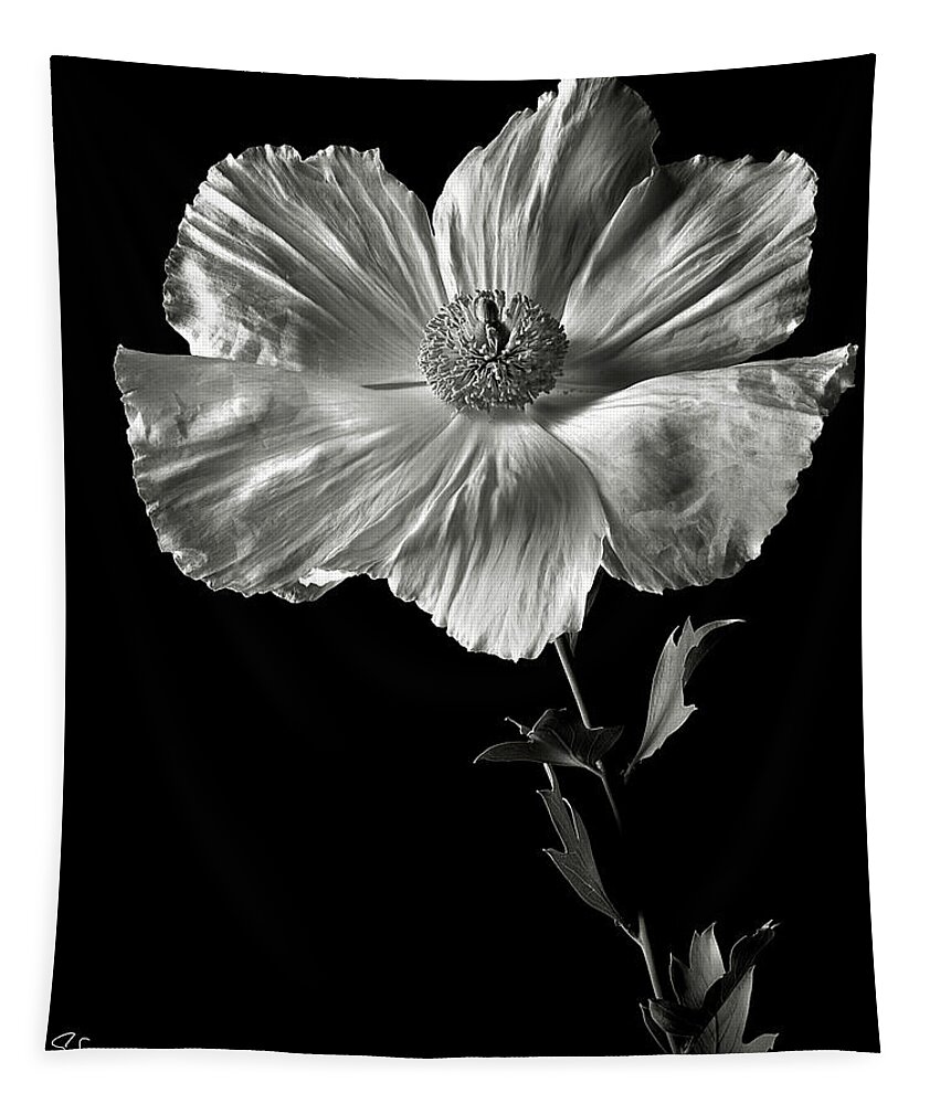 Flower Tapestry featuring the photograph Matilija Poppy in Black and White by Endre Balogh
