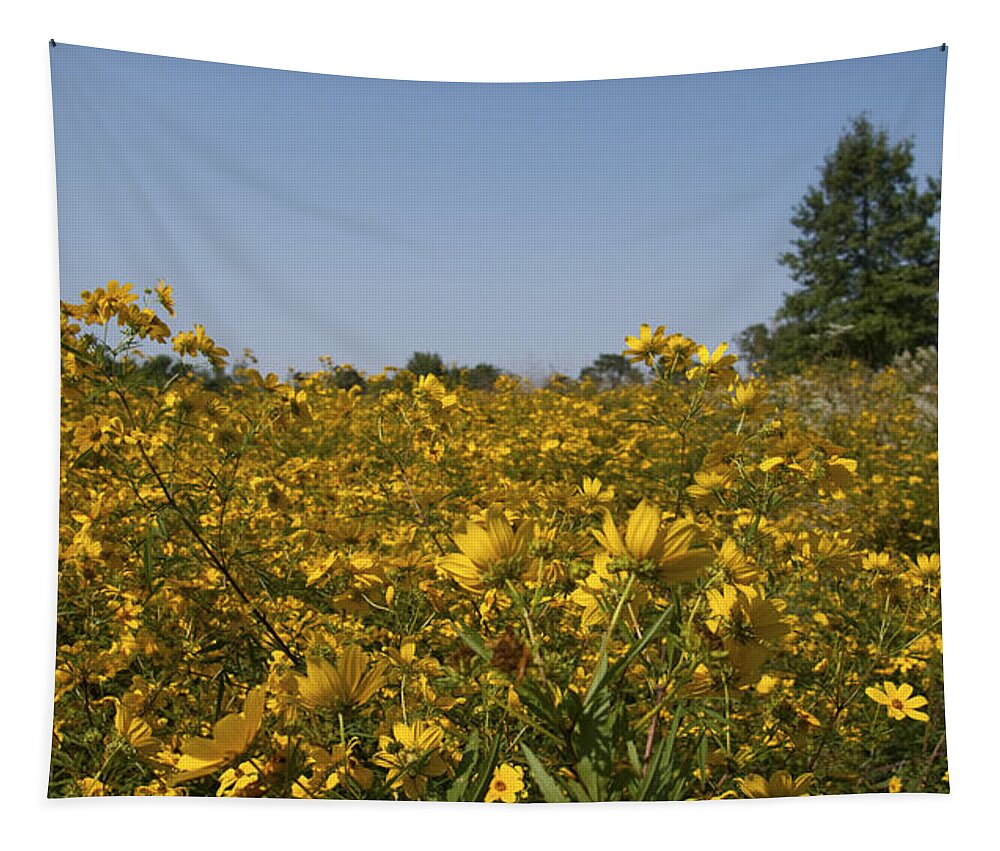 Landscape Tapestry featuring the photograph Meadow at Terapin Park by Charles Kraus