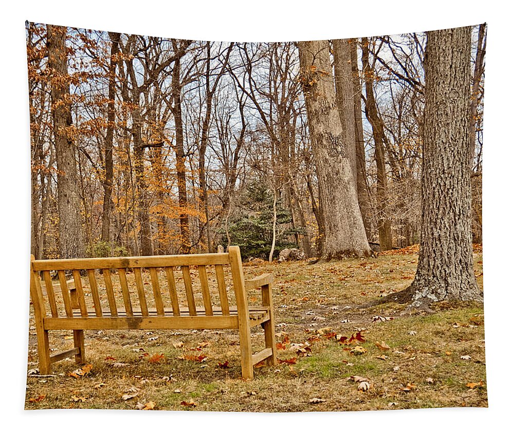 Meditate Tapestry featuring the photograph Meditation At Valley Forge by Trish Tritz