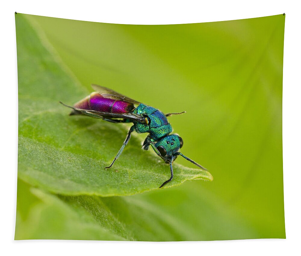 Metalic Tapestry featuring the photograph Metalic insect by Perry Van Munster