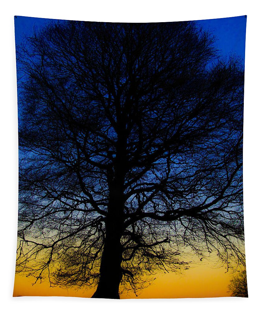 Tree Tapestry featuring the photograph Midnight Calm by Rob Hemphill