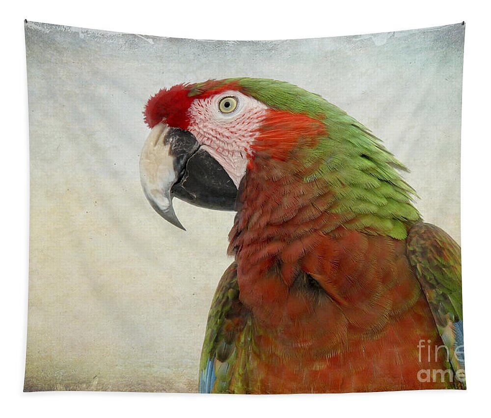 Bird Tapestry featuring the photograph Military Macaw by Teresa Zieba