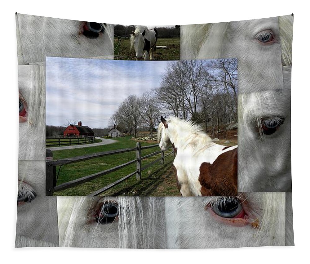 Gypsy Vanner Tapestry featuring the photograph Miss Gypsy Dory Collage by Kim Galluzzo