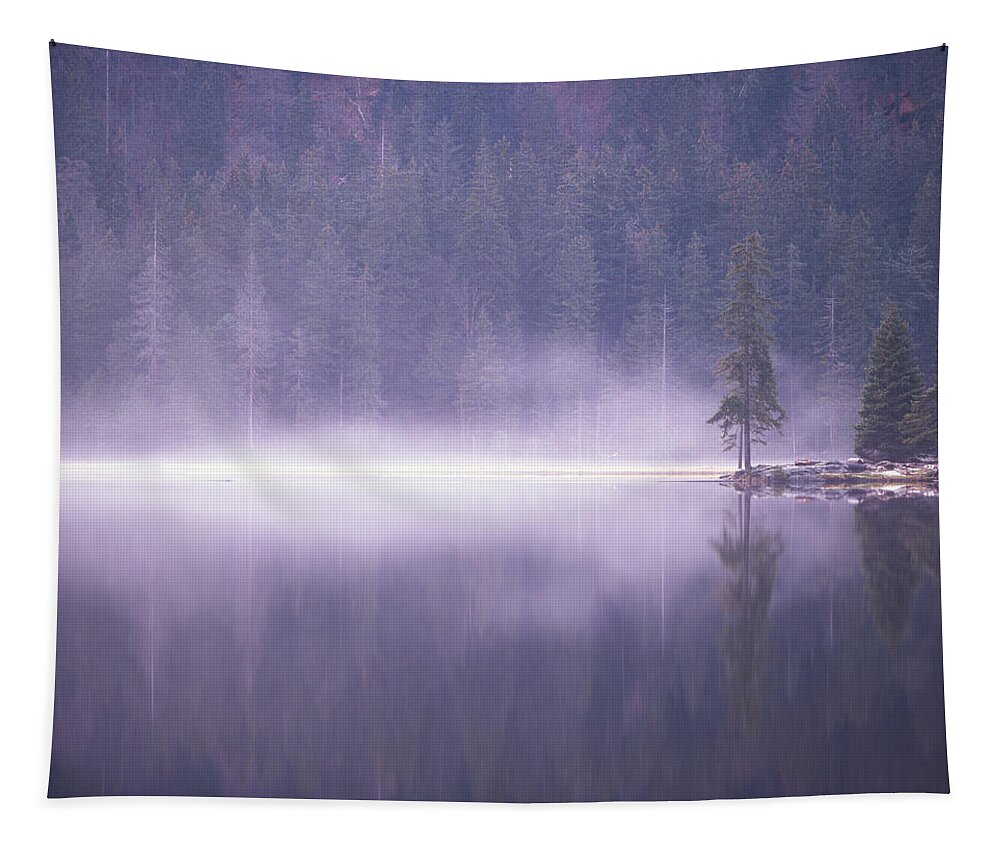 Mist Tapestry featuring the photograph Mist rising from a lake by Ulrich Kunst And Bettina Scheidulin