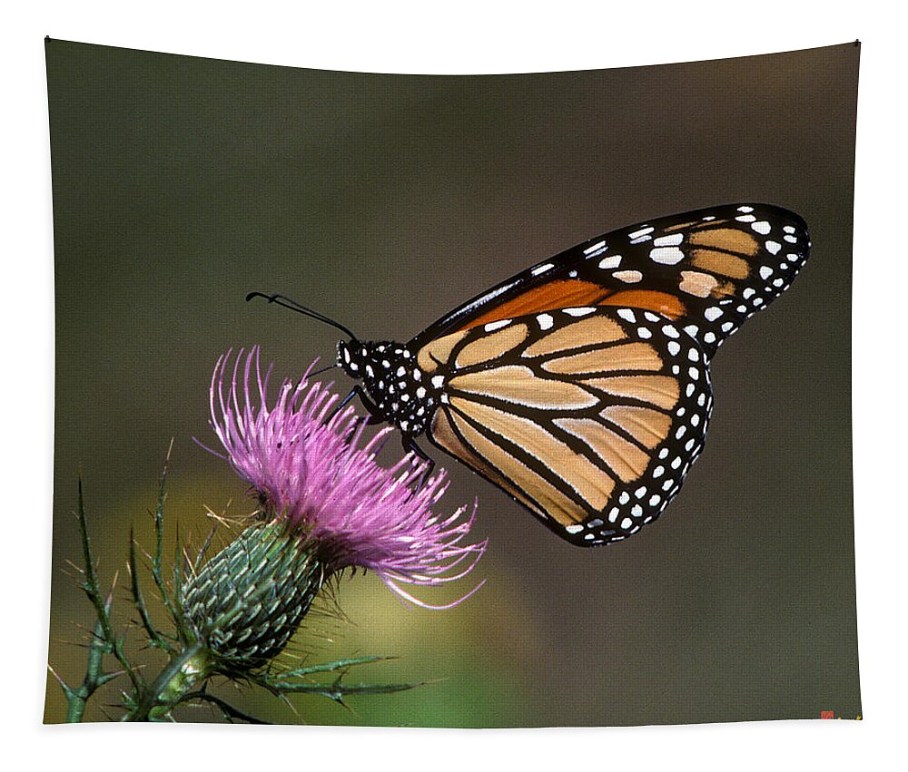 Nature Tapestry featuring the photograph Monarch Butterfly on Thistle 13A by Gerry Gantt
