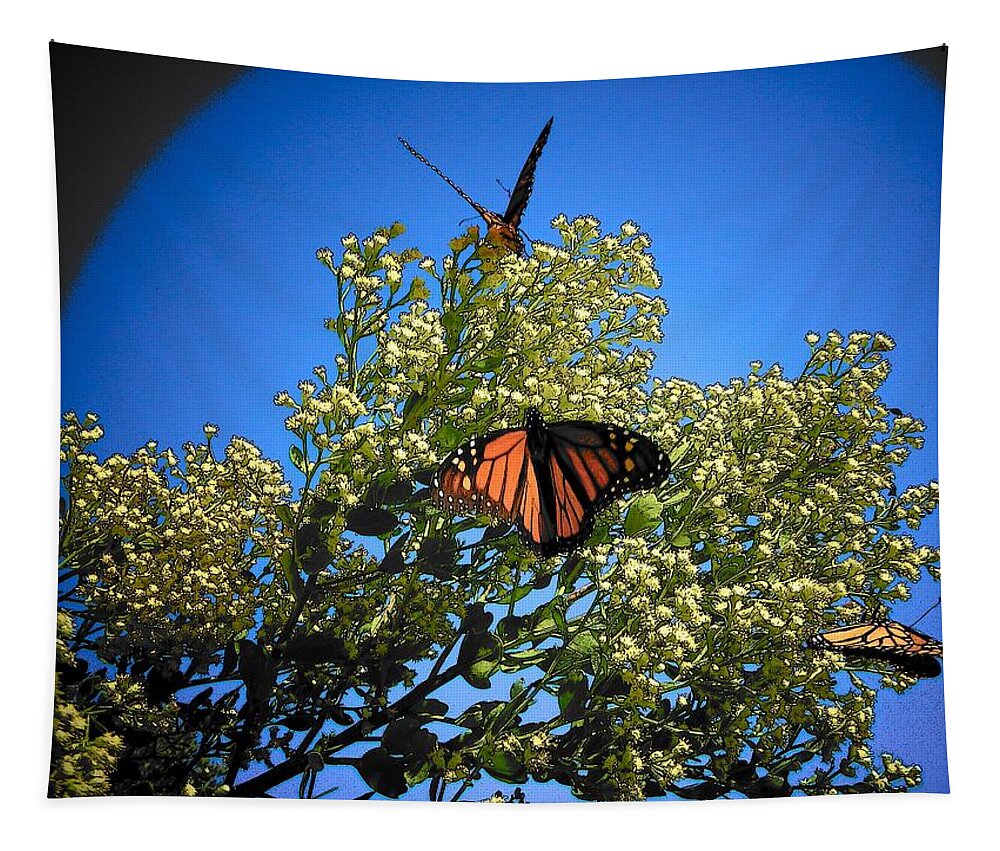 Butterfly Tapestry featuring the photograph Monarch Show by Sheri McLeroy