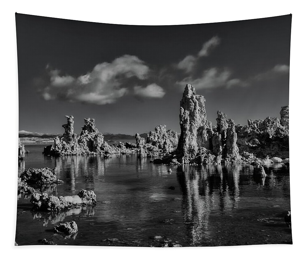 Black And Whilte Tapestry featuring the photograph Mono Lake by Beth Sargent