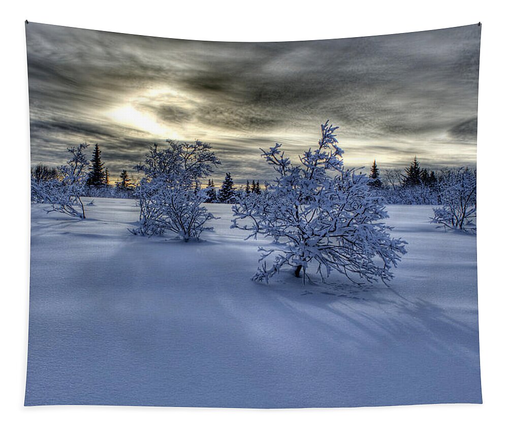 Winter Tapestry featuring the photograph Moody Snow Scene by Michele Cornelius