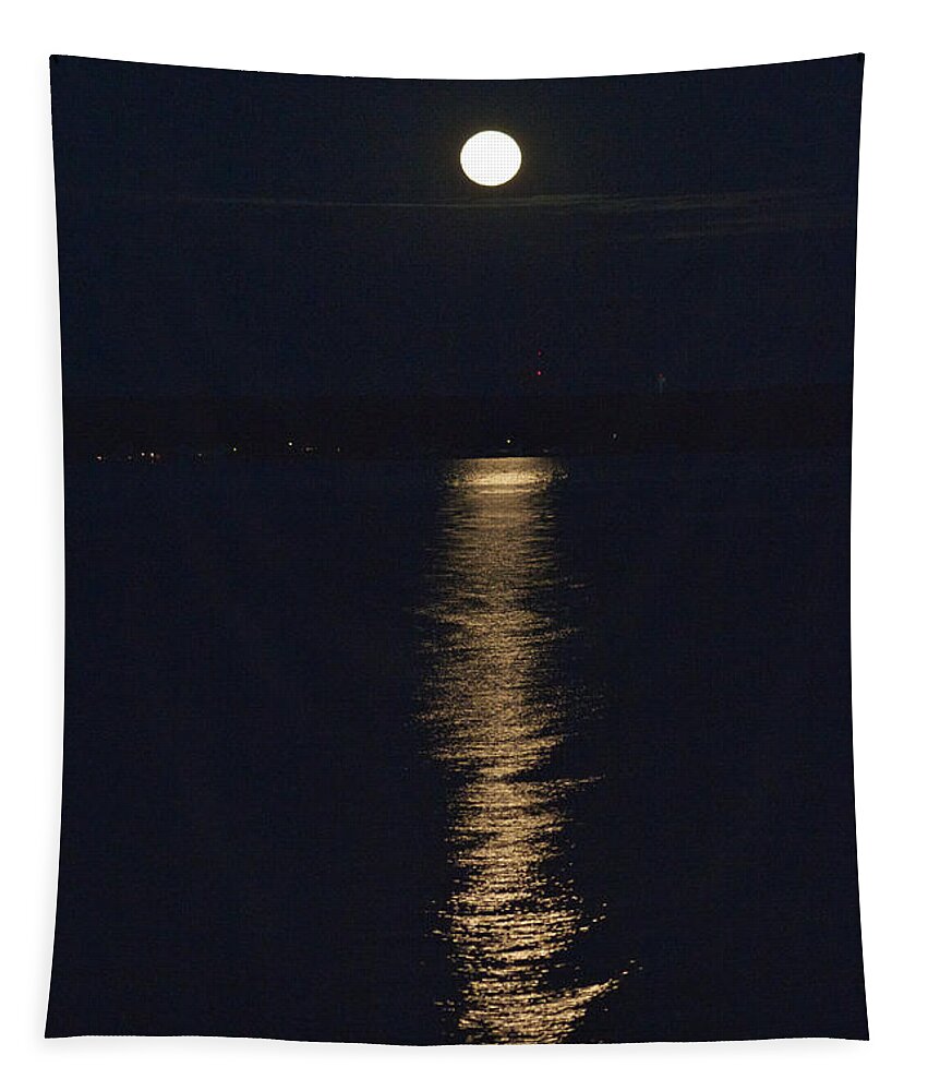 Moon Tapestry featuring the photograph Moon over Seneca Lake by William Norton