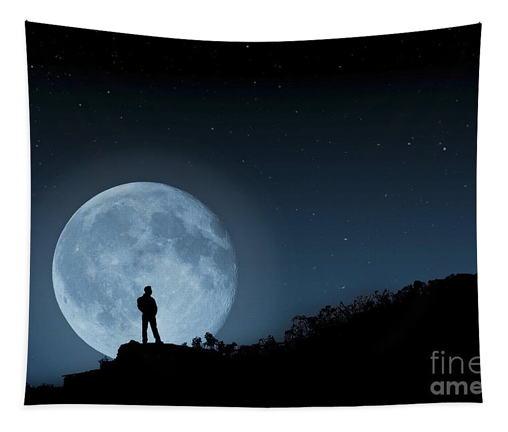 Moonlit Solitude Tapestry featuring the photograph Moonlit Solitude by Steve Purnell