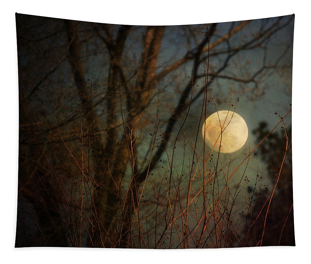 Moon Tapestry featuring the photograph Moonrise by Jai Johnson