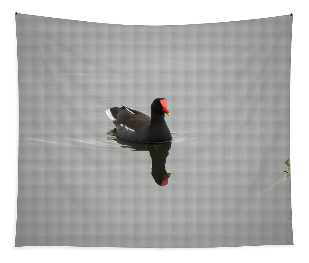Moorehen Tapestry featuring the photograph Moorehen by Kim Galluzzo