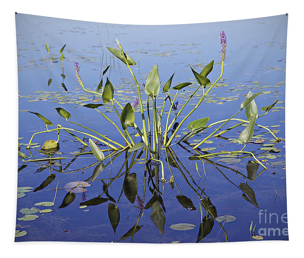 Lily Tapestry featuring the photograph Morning reflection by Eunice Gibb