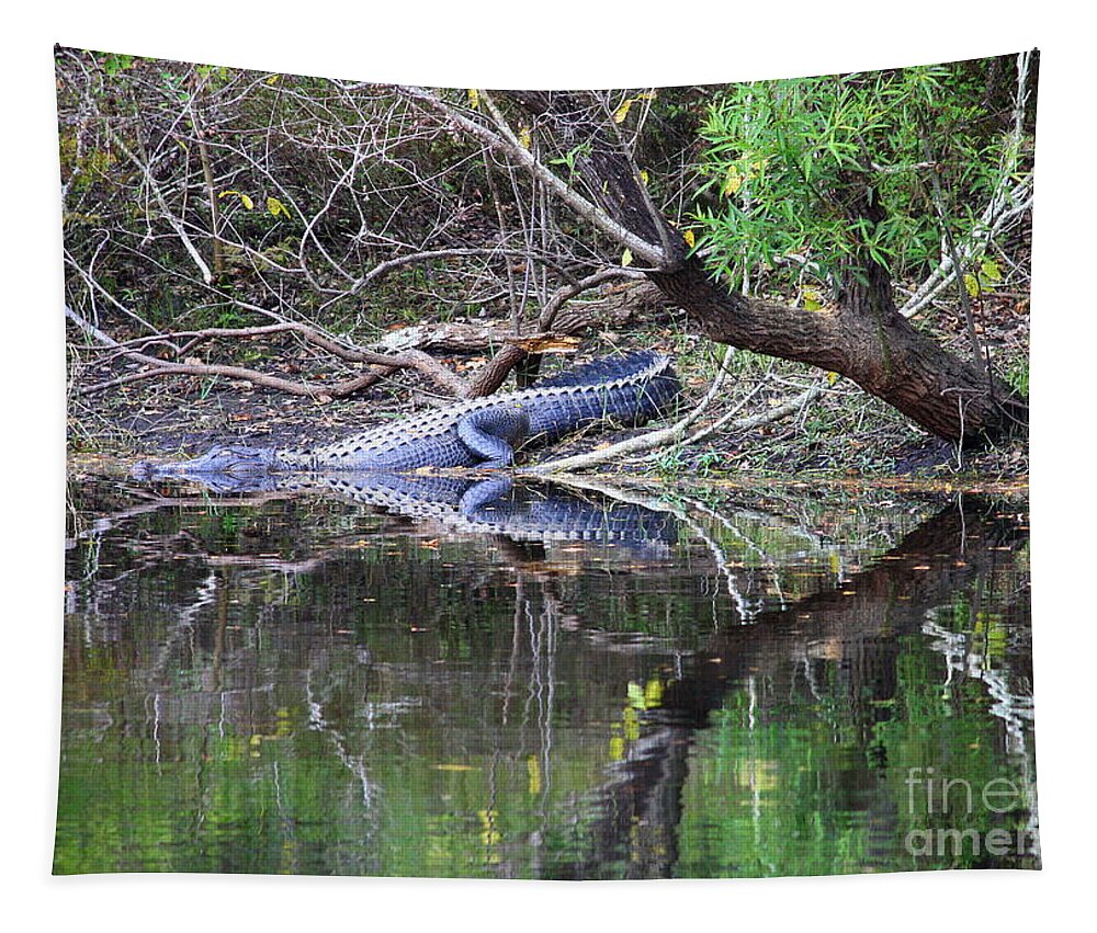 Florida Gator Tapestry featuring the photograph Morris Bridge Gator by Carol Groenen