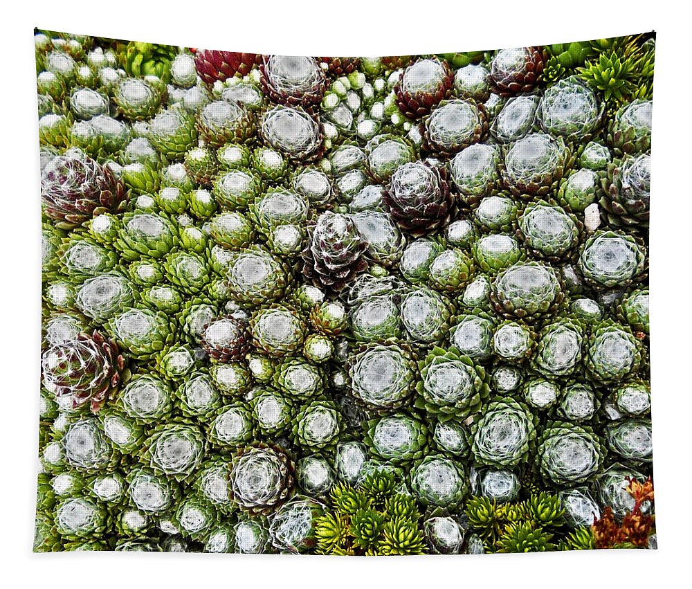 Garten Tapestry featuring the photograph My Rockery ... by Juergen Weiss