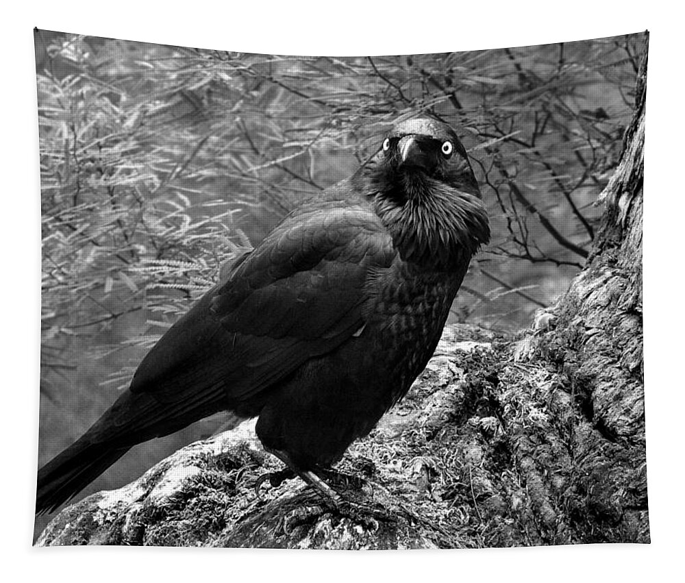 Raven Tapestry featuring the photograph Nevermore - Black and White by Michelle Wrighton