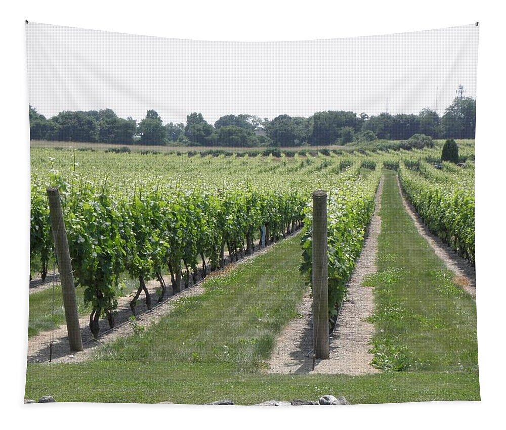 Vineyards Tapestry featuring the photograph Newport Vineyards by Kim Galluzzo Wozniak