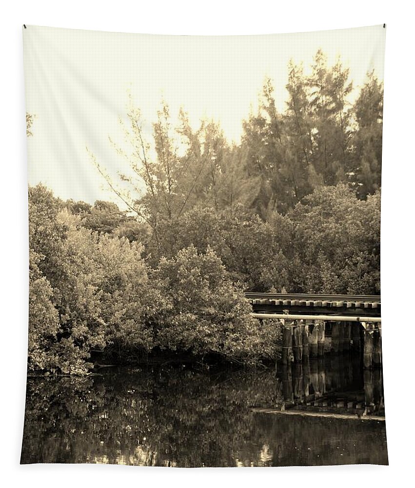 Sepia Tapestry featuring the photograph NORTH FORK RIVER in SEPIA by Rob Hans