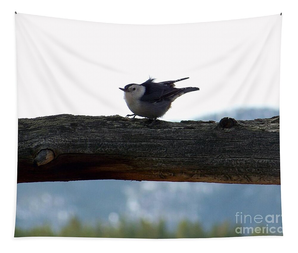 Nuthatch Tapestry featuring the photograph Nuthatch by Dorrene BrownButterfield
