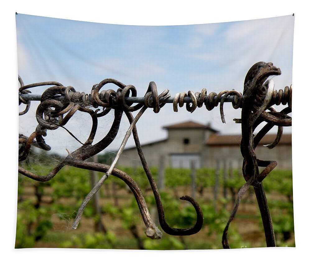 Vineyard Tapestry featuring the photograph Old and New by Lainie Wrightson