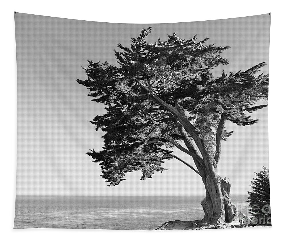 Tree Tapestry featuring the photograph Old Growth by Paul Topp