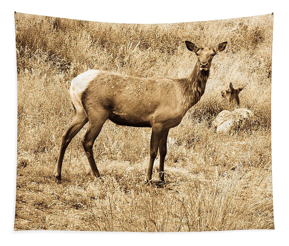 Deer Tapestry featuring the photograph On Guard by Trish Tritz