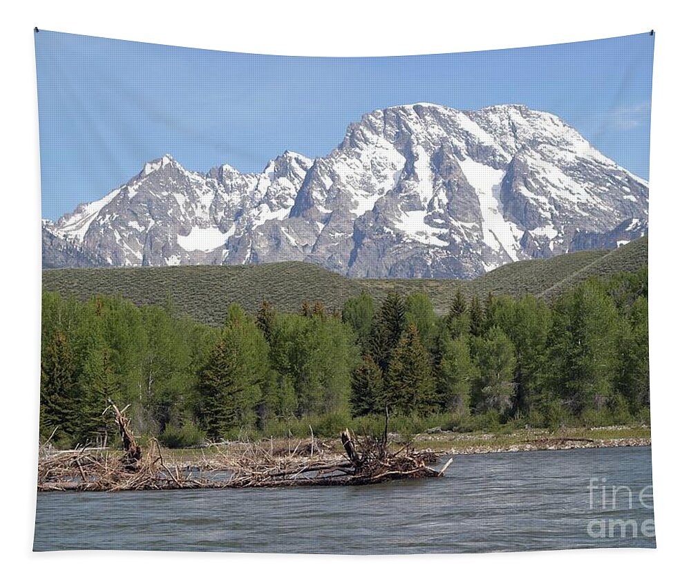 Grand Tetons Tapestry featuring the photograph On The Snake River by Living Color Photography Lorraine Lynch