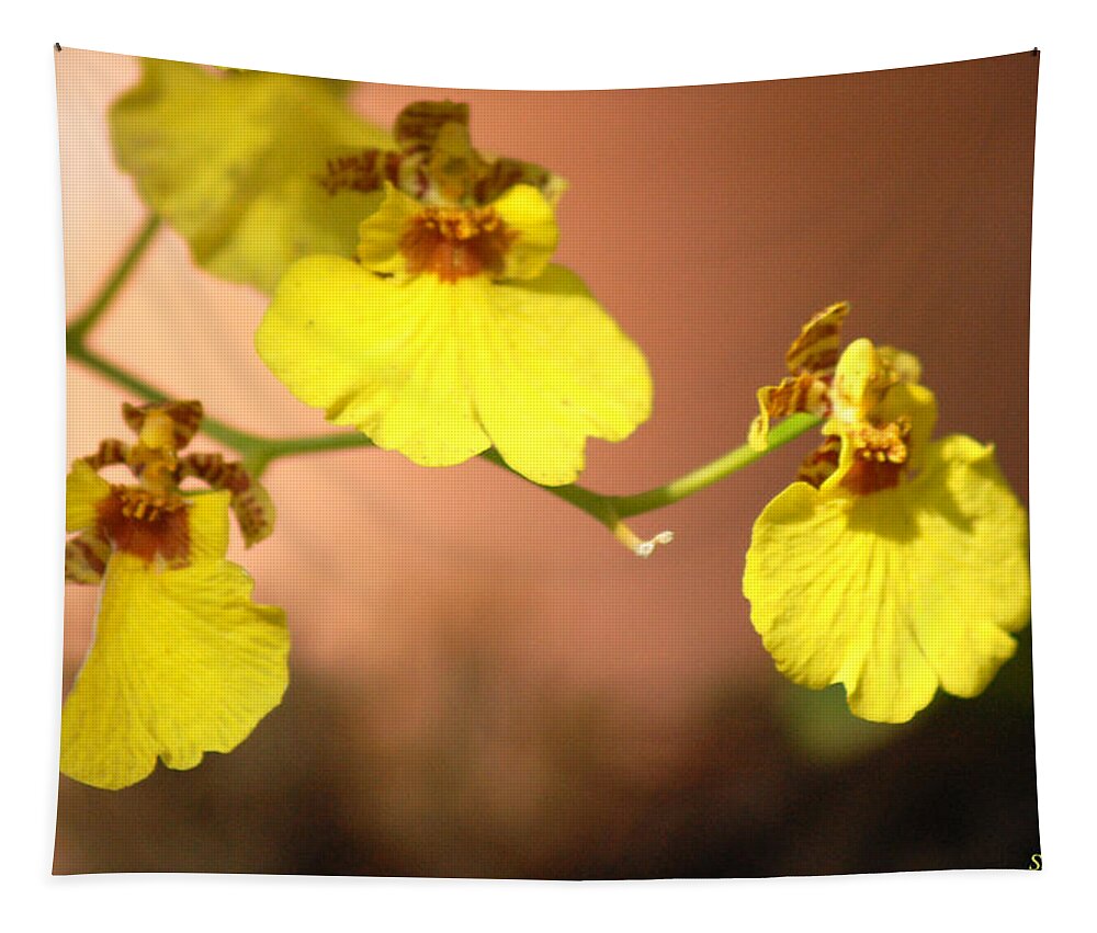 Oncidium Goldiana Orchid Tapestry featuring the photograph Oncidium Goldiana Orchid by Susan Stevens Crosby
