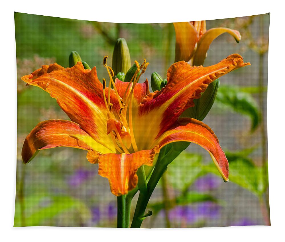 Red Tapestry featuring the photograph Orange Day Lily by Tikvah's Hope