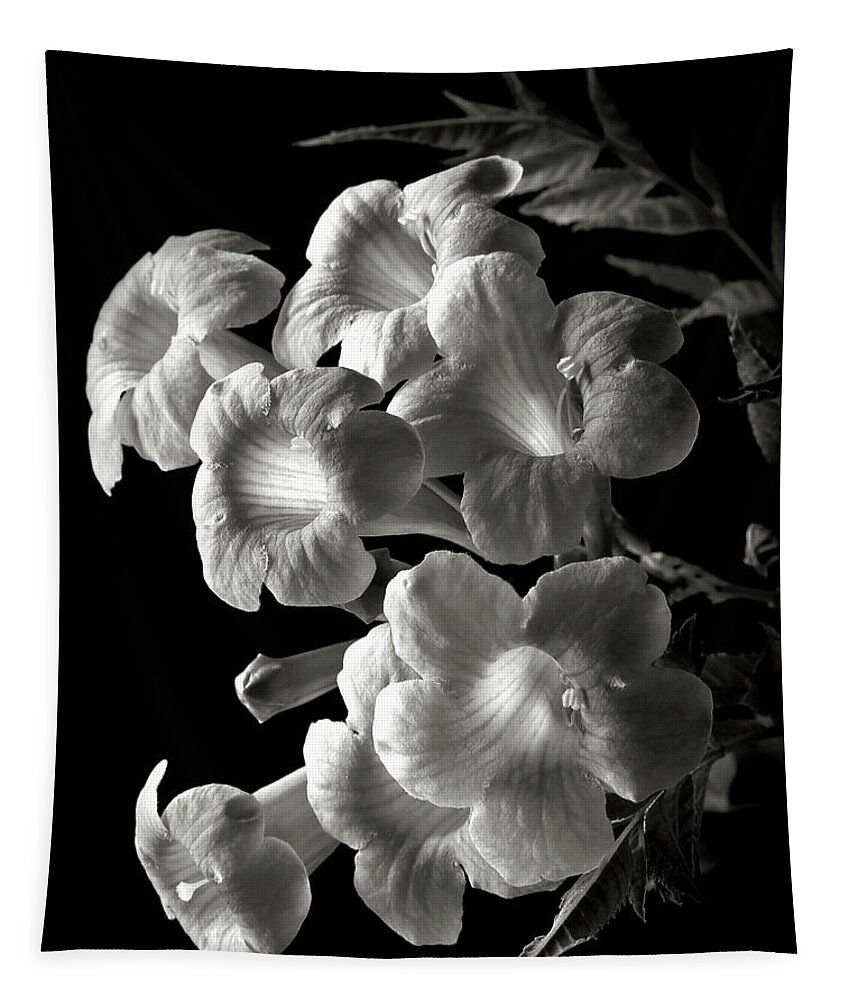 Flower Tapestry featuring the photograph Orange Jubilee in Black and White by Endre Balogh