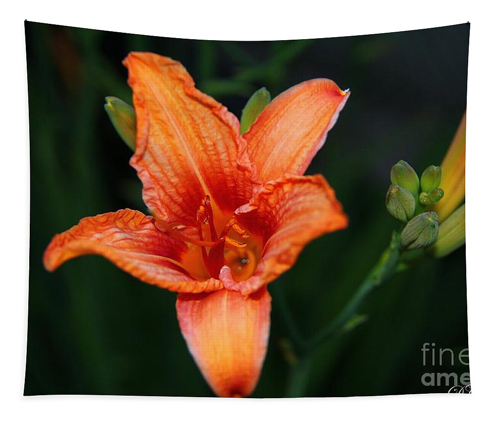 Lily Tapestry featuring the photograph Orange Lily by Davandra Cribbie