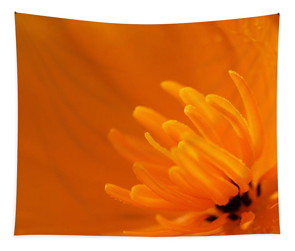 Flower Tapestry featuring the photograph Orange Poppy by Marie Jamieson