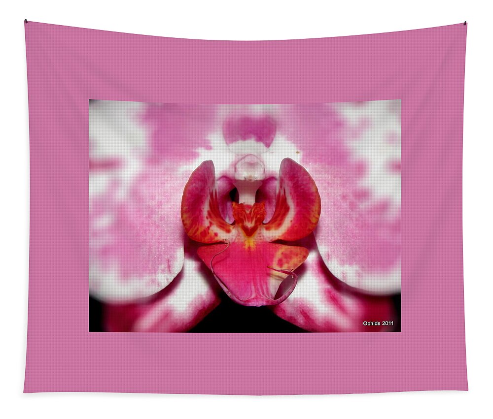 Orchid Tapestry featuring the photograph Orchid Glow by Kim Galluzzo