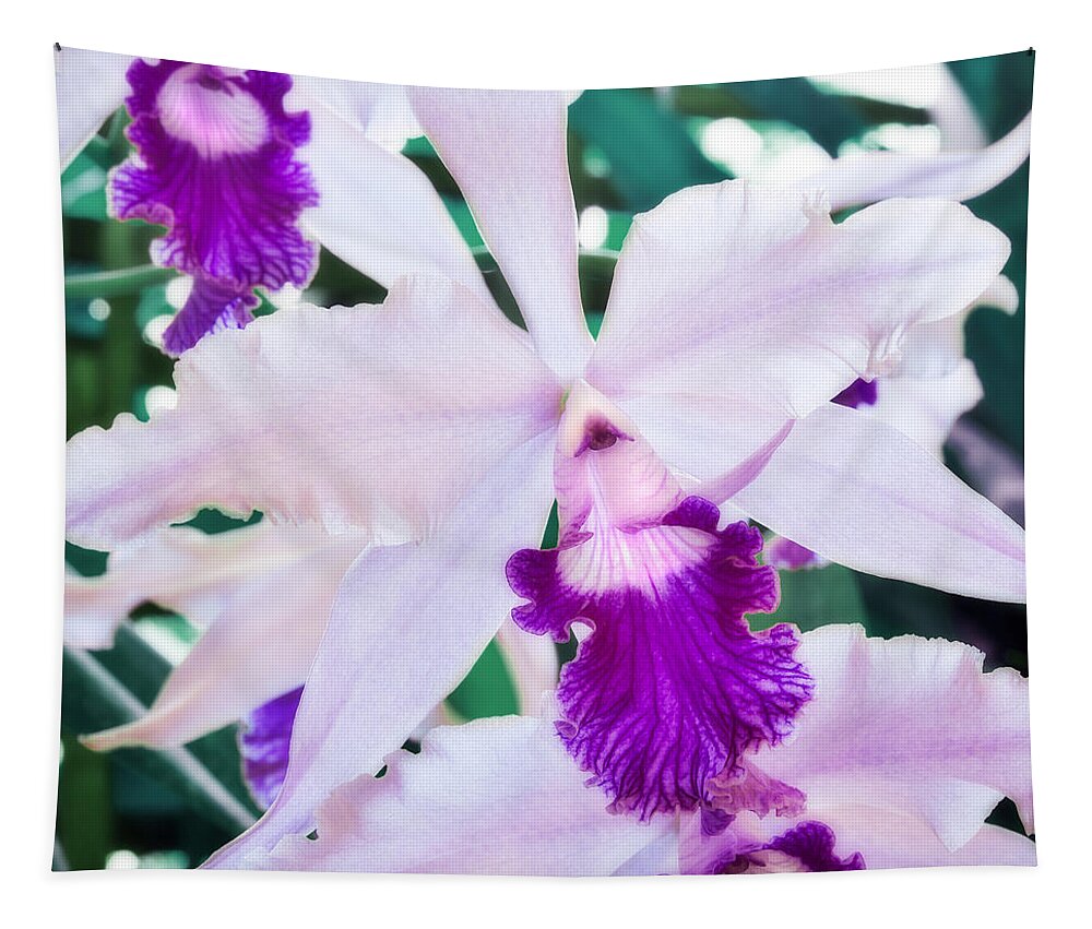 Floral Tapestry featuring the photograph Orchids White and Purple by Steven Sparks
