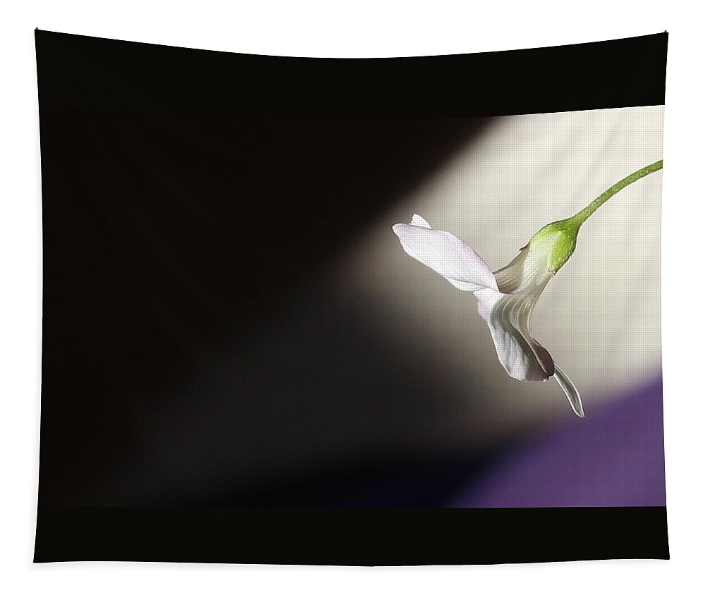 Floral Garden Tapestry featuring the photograph Oxalis Bloom by Kume Bryant