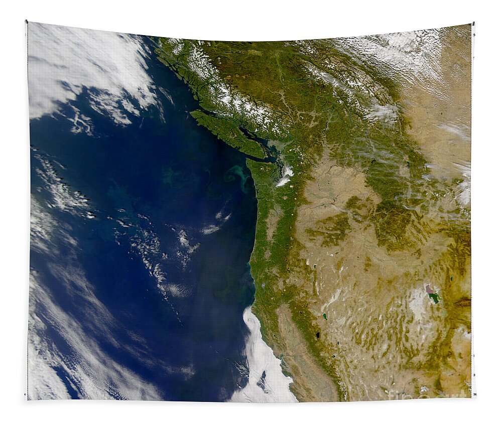 Seawifs Tapestry featuring the photograph Pacific Northwest by Nasa