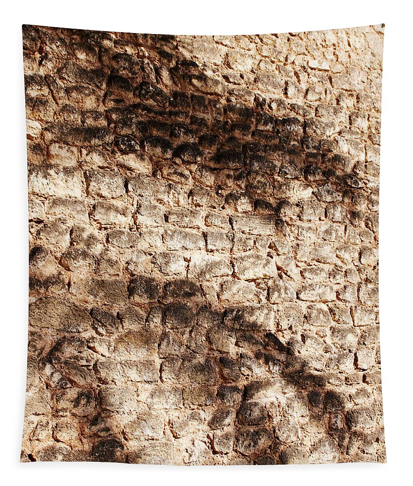 Palmera Tapestry featuring the photograph Palm fragment by Agusti Pardo Rossello