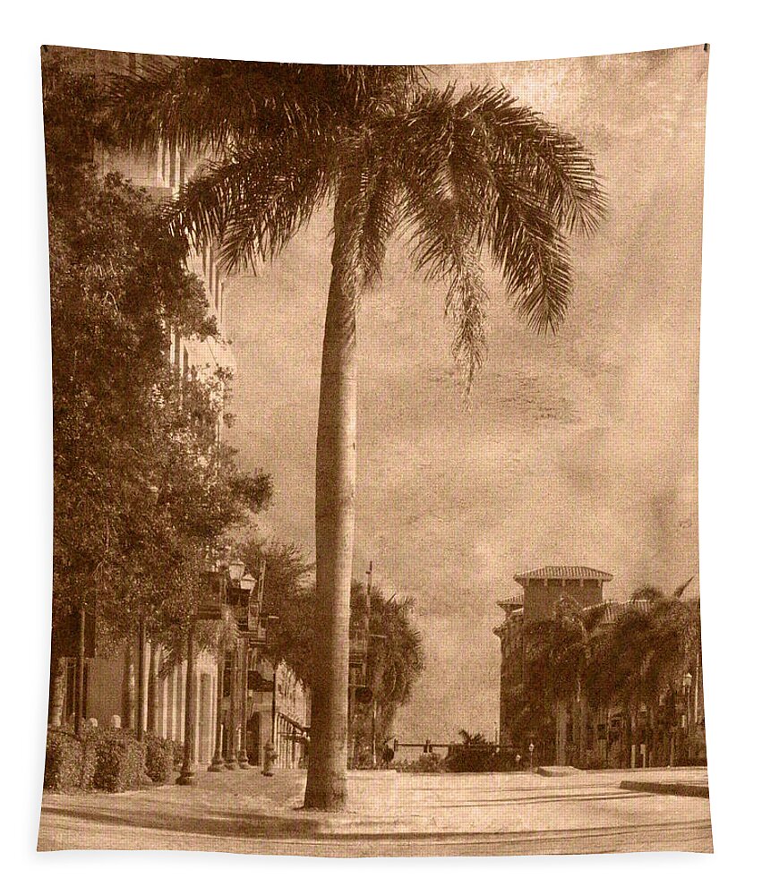 Palm Tree Tapestry featuring the photograph Palm Tree by Trish Tritz