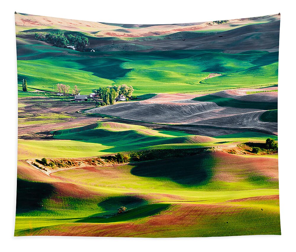 Palouse Tapestry featuring the photograph Palouse Hills 3 by Niels Nielsen