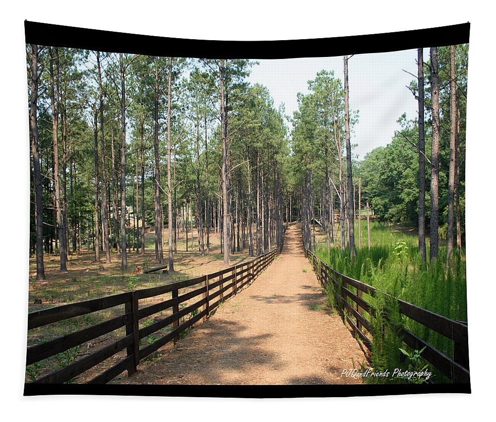 Path Tapestry featuring the photograph 'Path to Serenbe' by PJQandFriends Photography