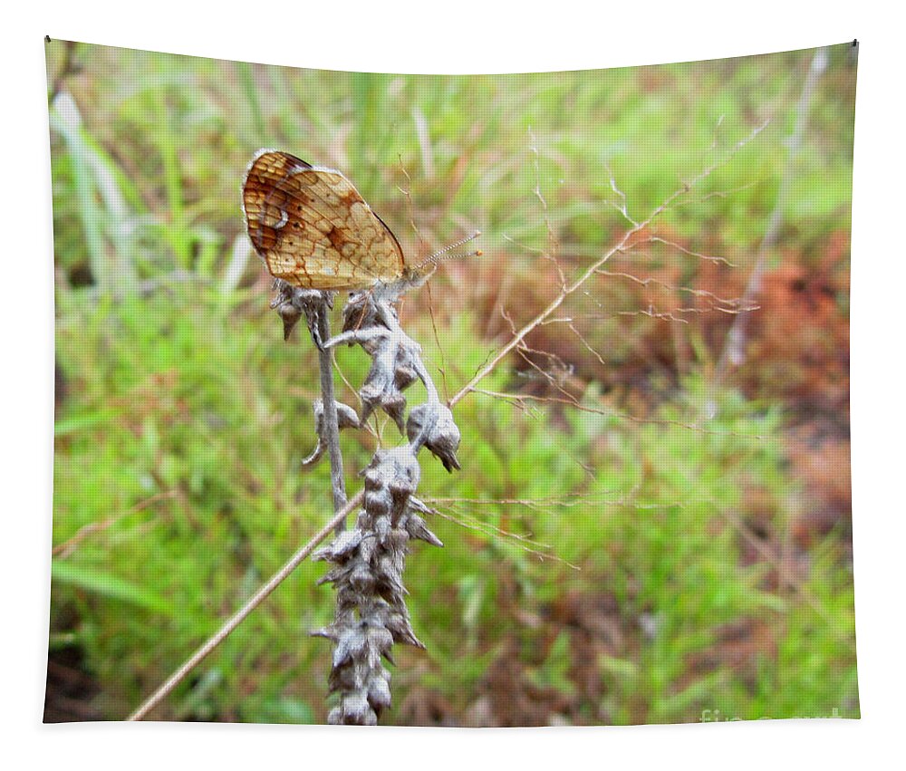 Insect Tapestry featuring the photograph Pearly Crescentspot Butterfly IIII by Donna Brown