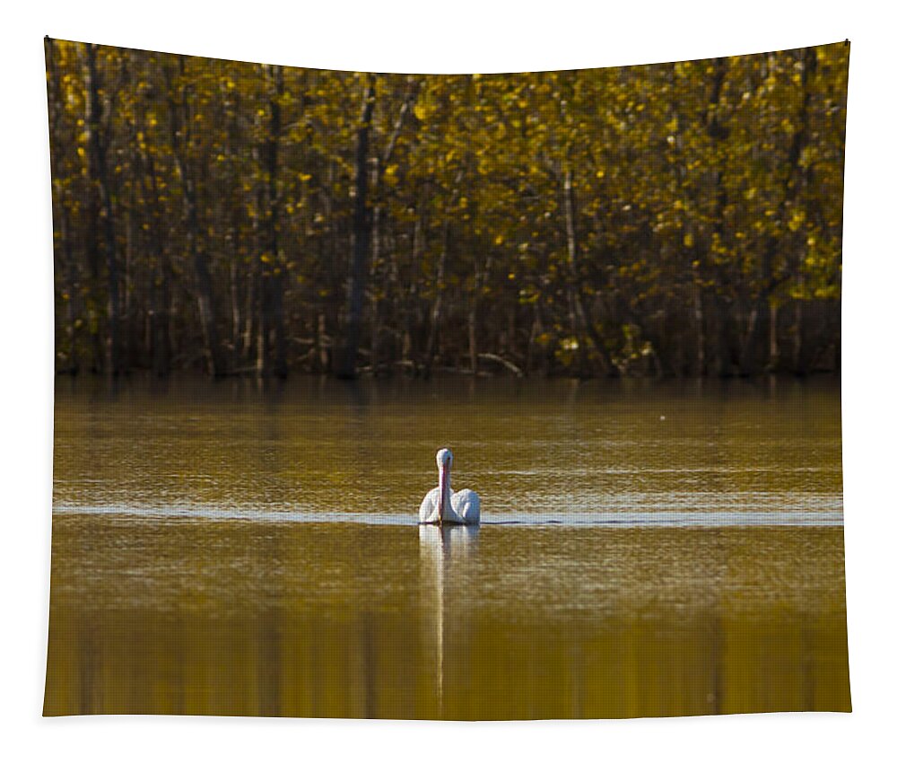 Pond Tapestry featuring the photograph Pelican on Golden Pond by Pam Holdsworth