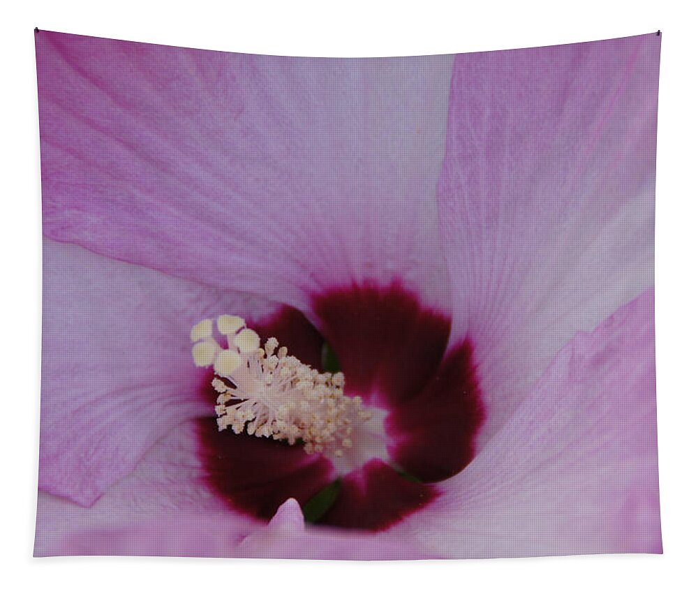 Peony Tapestry featuring the photograph Peony by Mick Anderson